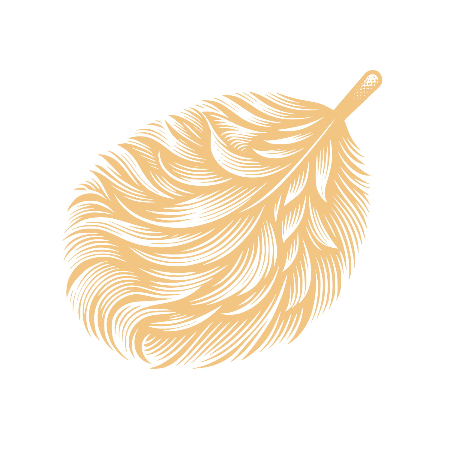 Feather Cleaning Logo #F3C583