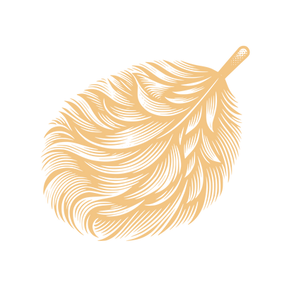 Feather Cleaning Logo #F3C583