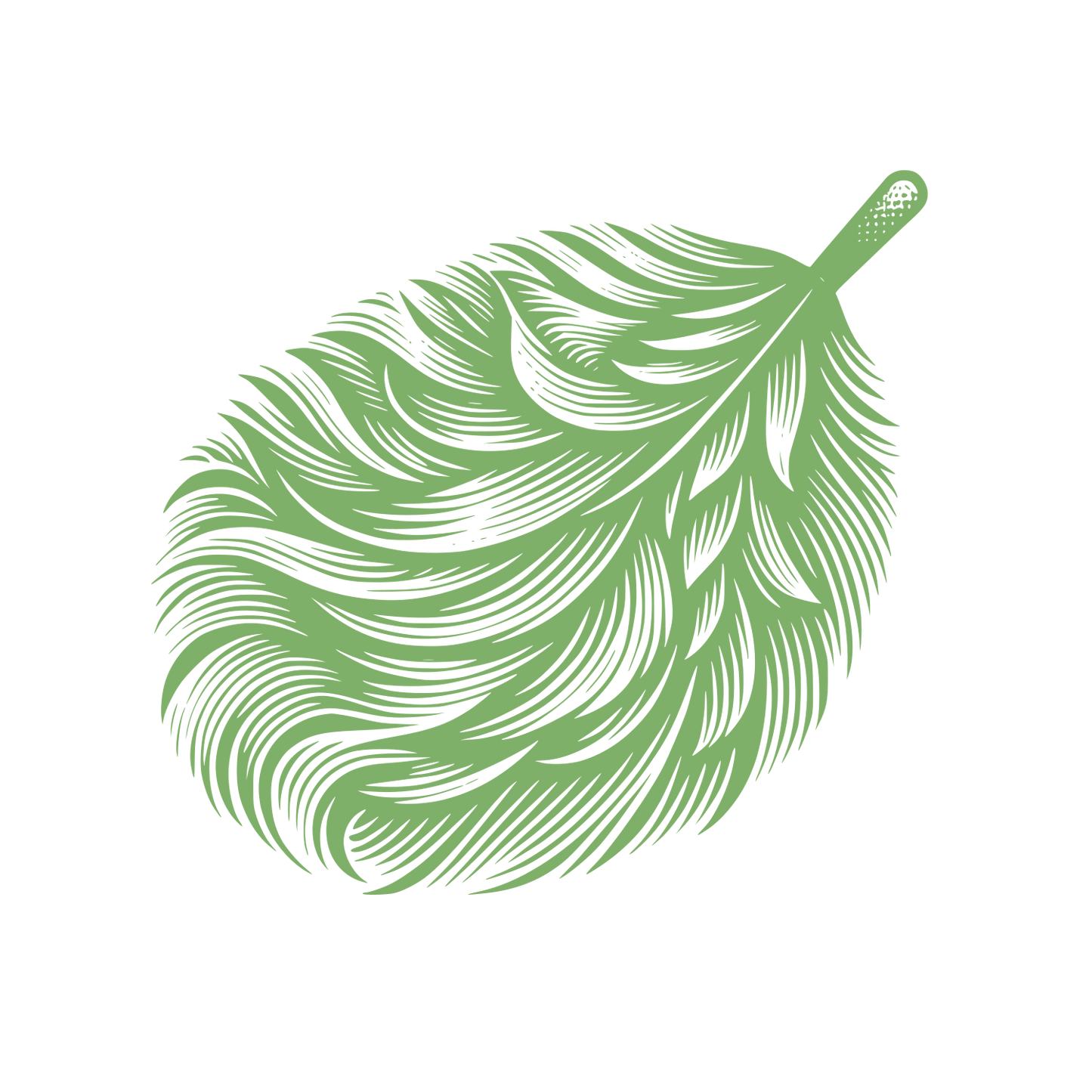 Feather Cleaning Logo #7FB069