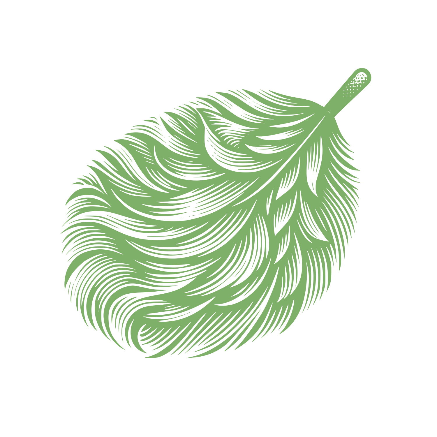 Feather Cleaning Logo #7FB069