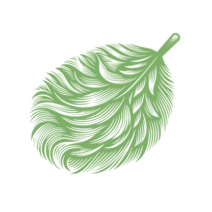Feather Cleaning Logo #7FB069