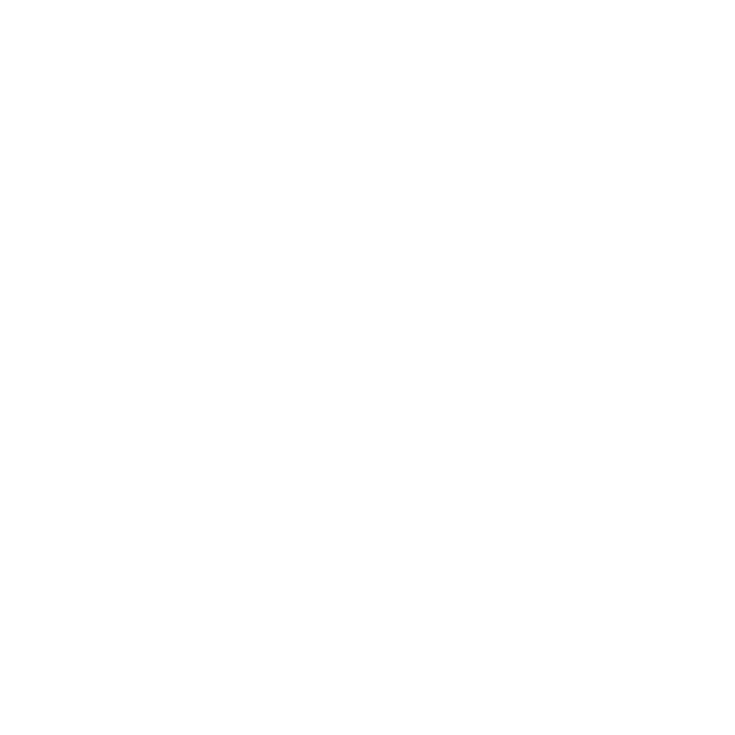 Ship Front View Logo #ffffff