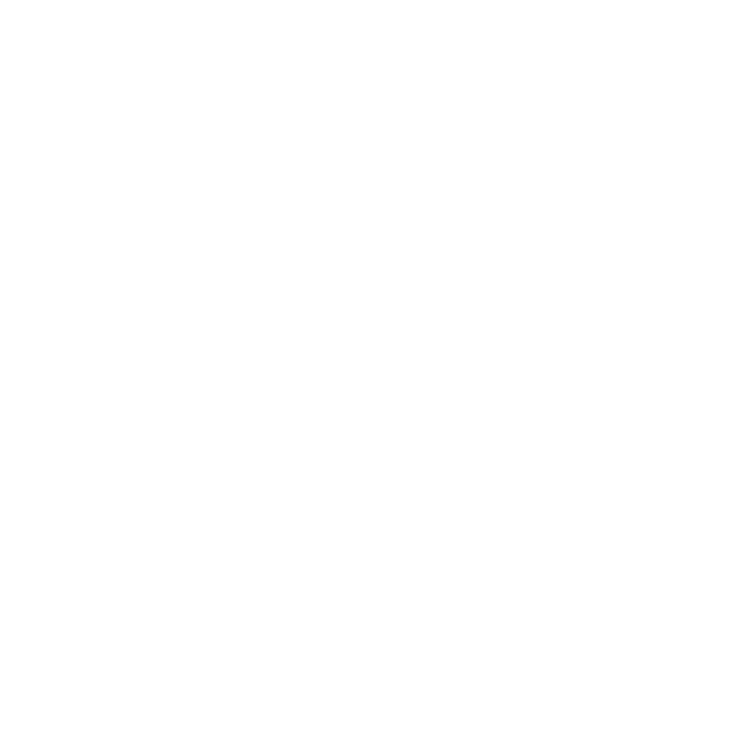 Ship Front View Logo #ffffff