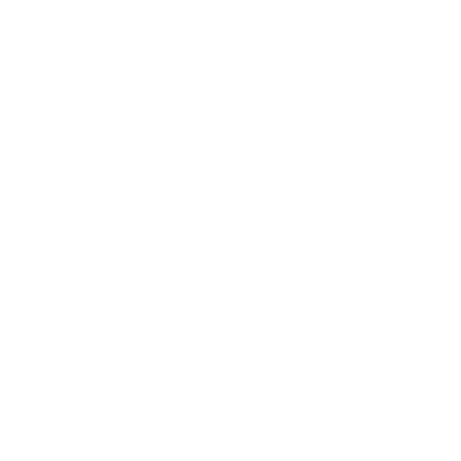 Rocket Ship Logo #ffffff
