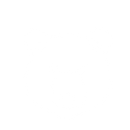 Monoline Bear Face Logo #ffffff