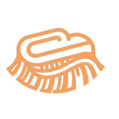 Cleaning Brush Logo #F4A261