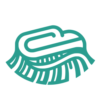 Cleaning Brush Logo #2A9D8F