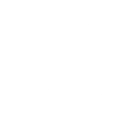 Bold Cat Logo #ffffff