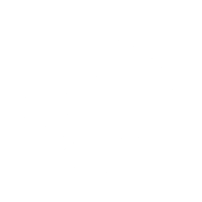 Negative Space Lion Logo #ffffff