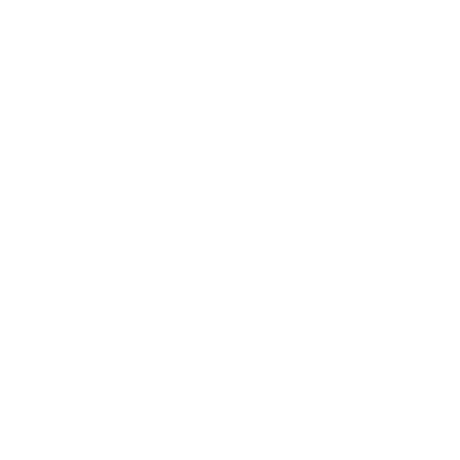 Lion Letter D Logo #ffffff