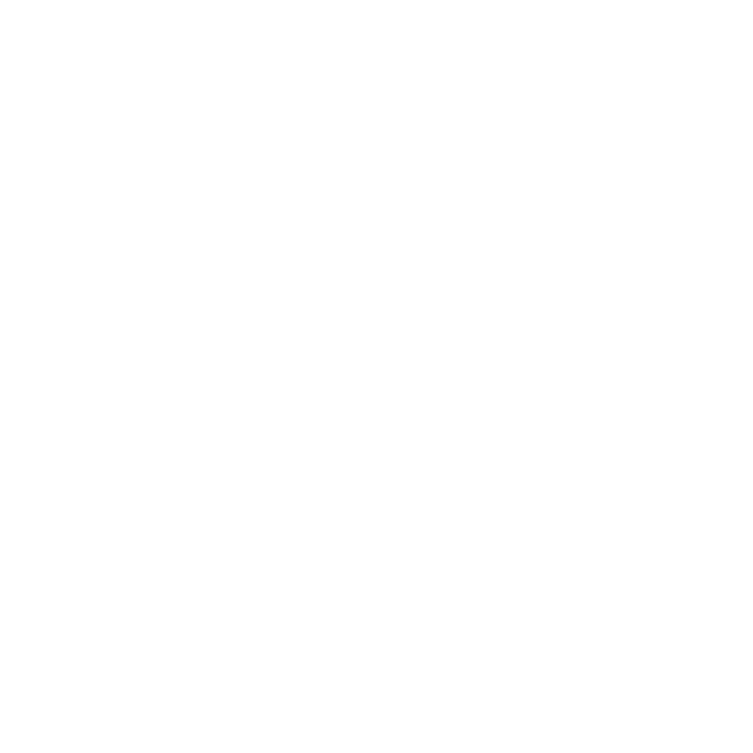 Lion Triangle Negative Space Logo #ffffff