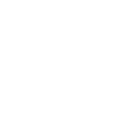 Lion Triangle Negative Space Logo #ffffff