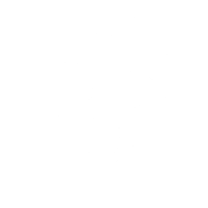 Lion Head Map Pin Logo #ffffff