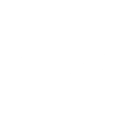 Lion Shield Negative Space Logo #ffffff