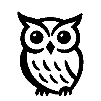Hand-Drawn Owl Logo