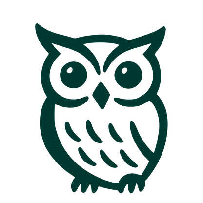 Hand-Drawn Owl Logo #003932