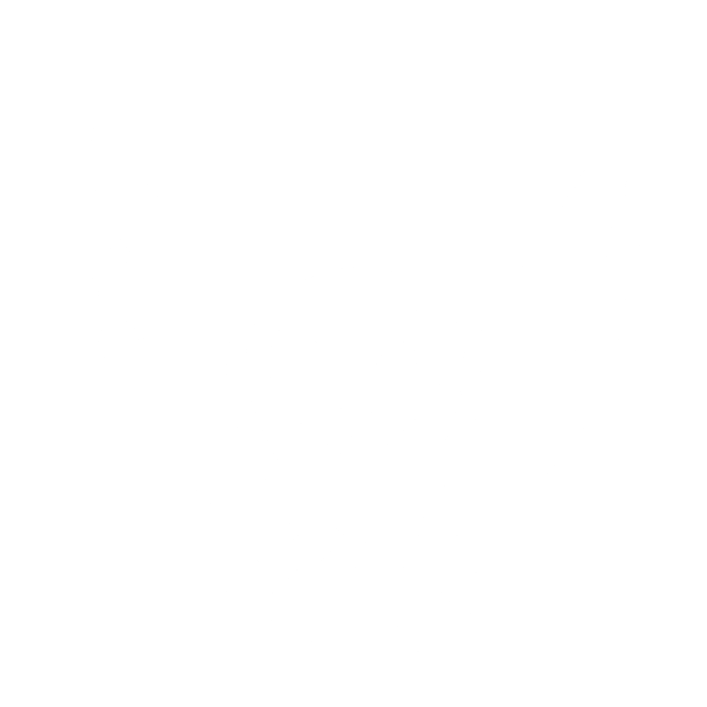 Barn Owl in Flight Logo #ffffff