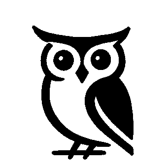 Bold Owl Logo