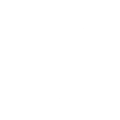 Bold Owl Logo #ffffff