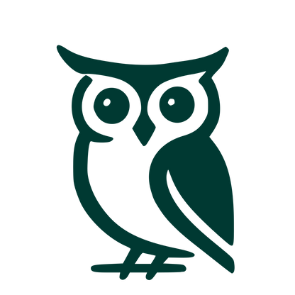 Bold Owl Logo #003932