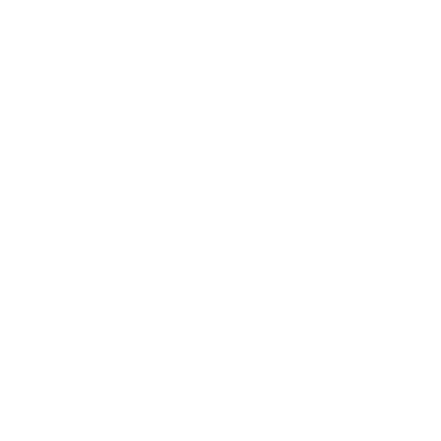 Bold Owl Face Logo #ffffff