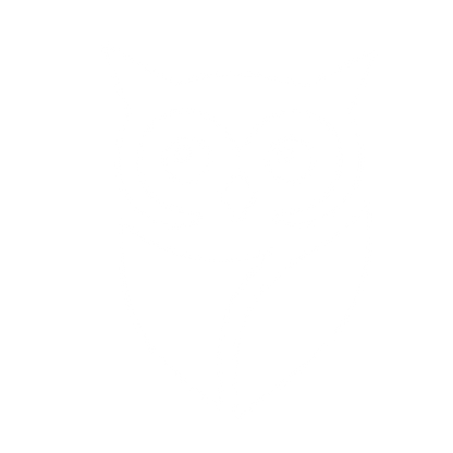 Bold Owl Face Logo #ffffff