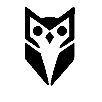 Bold Geometric Owl Logo