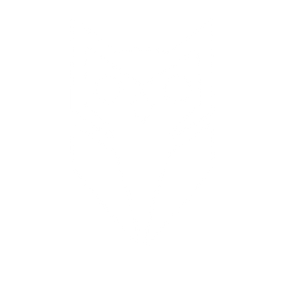 Bold Geometric Owl Logo #ffffff