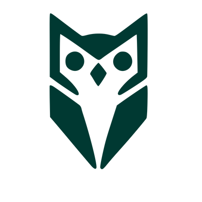 Bold Geometric Owl Logo #003932