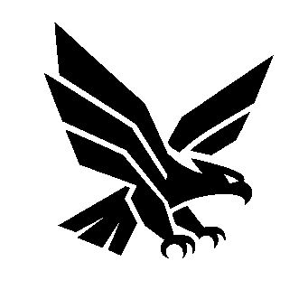 Layered Eagle Wings Logo