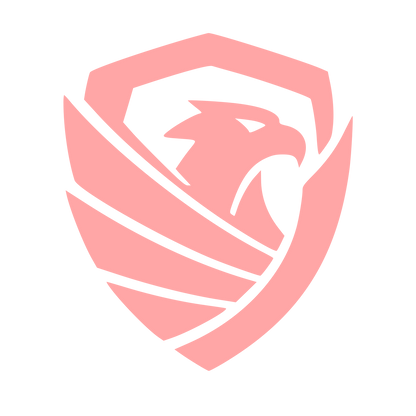 Eagle Shield Security Logo #ffa6a6