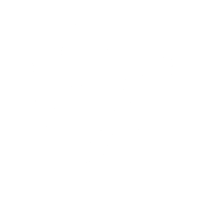 Eagle Shield Security Logo #ffffff
