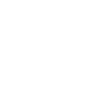 Eagle V-Shape Emblem Logo #ffffff