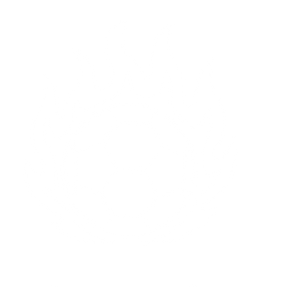 Flaming Soccer Ball Logo #ffffff