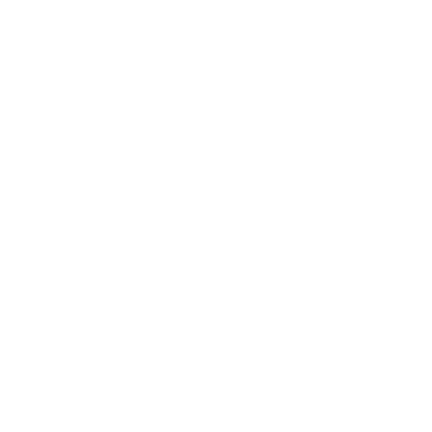 Basketball Circle Logo #ffffff