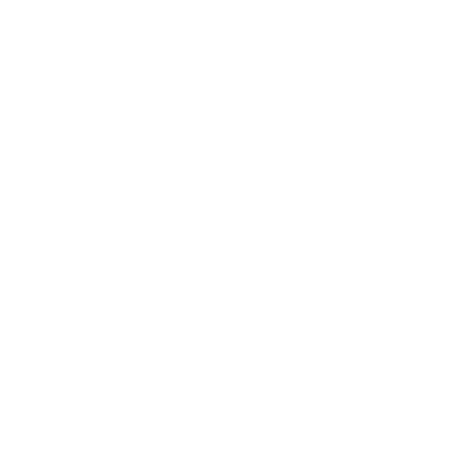 Basketball Lightning Bolt Logo #ffffff