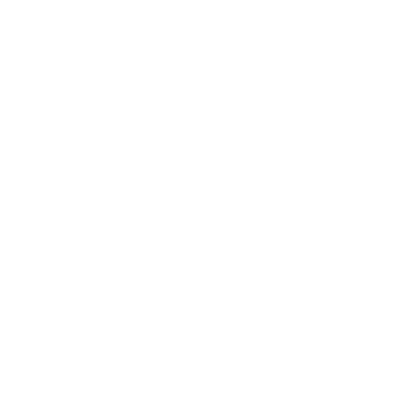 Basketball Lightning Bolt Logo #ffffff
