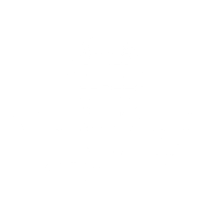 Tennis Racket Wings Logo #ffffff