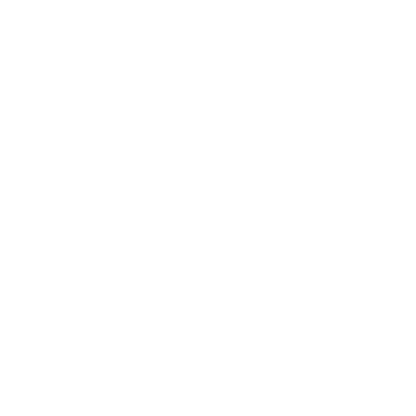 Lightning Bolt Skateboard Logo #ffffff