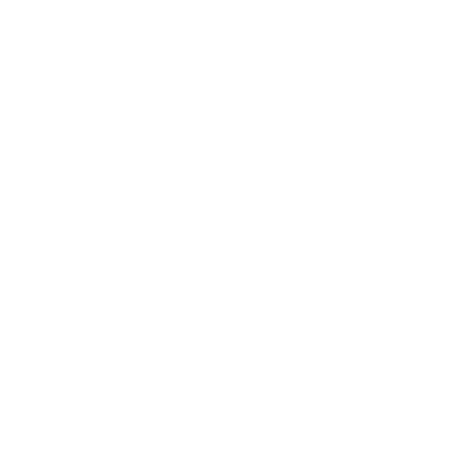 Lightning Bolt Circle Logo #ffffff