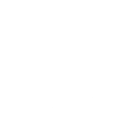 Lightning Bolt Circle Logo #ffffff
