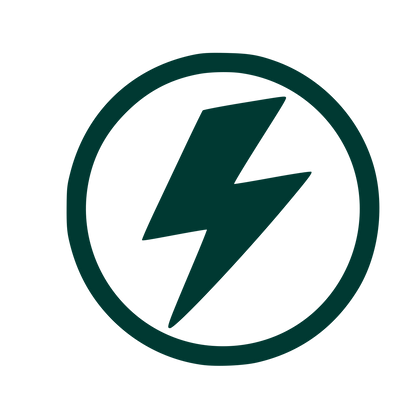 Lightning Bolt Circle Logo #003932