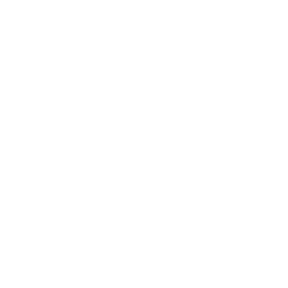 Lightning Bolt Circle Logo #ffffff