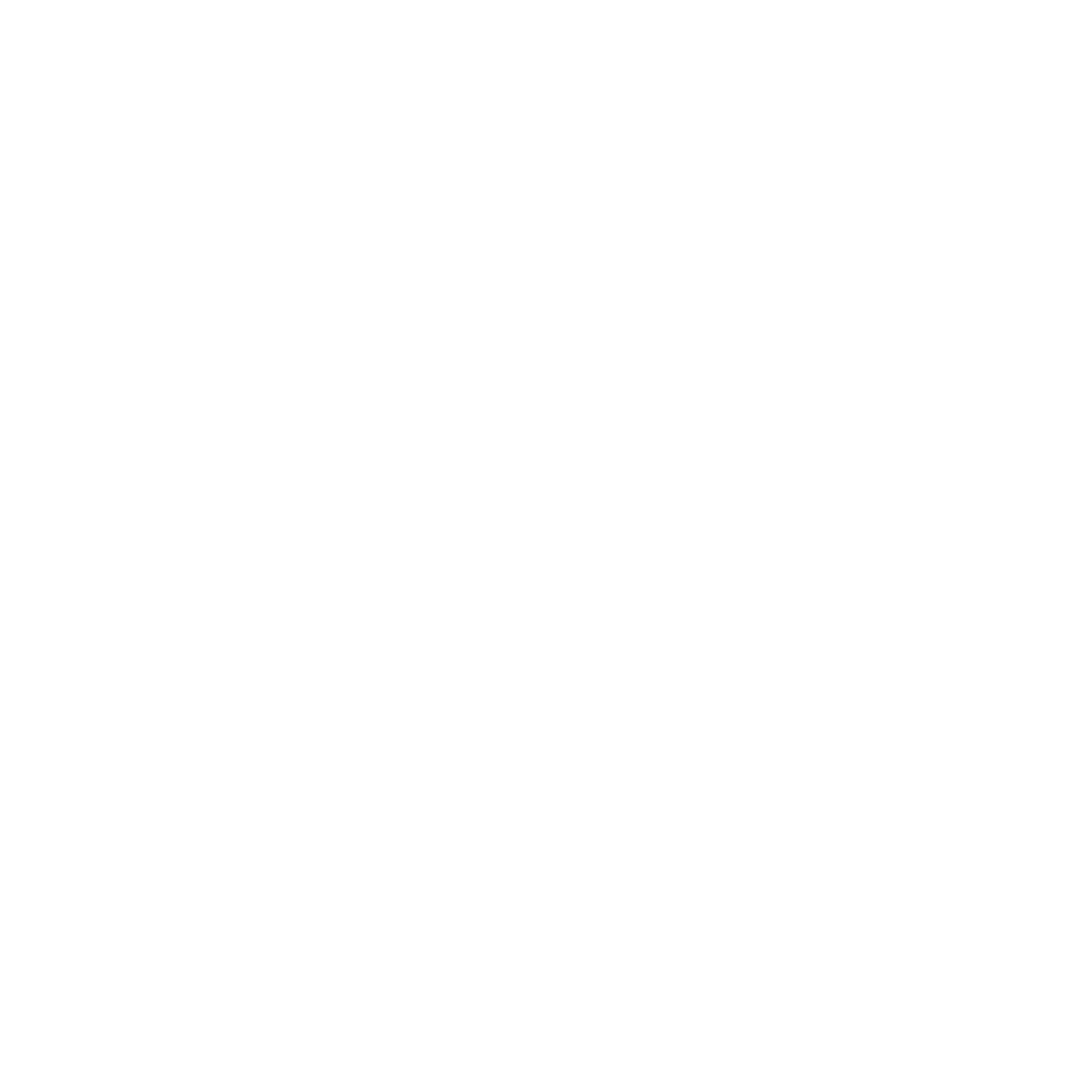 Lightning Bolt Diamond Logo #ffffff