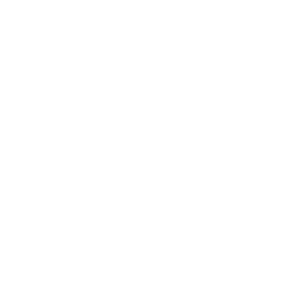 Lightning Bolt Diamond Logo #ffffff