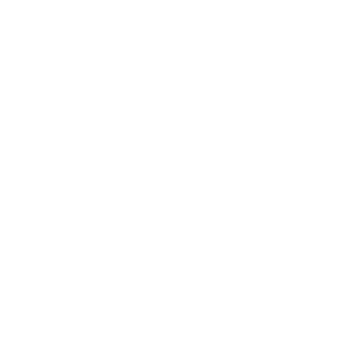 Lightning Bolt Wings Logo #ffffff