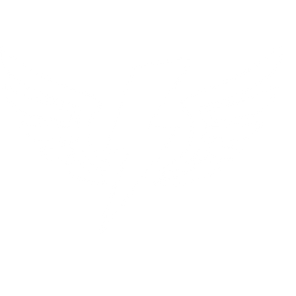 Lightning Bolt Wings Logo #ffffff