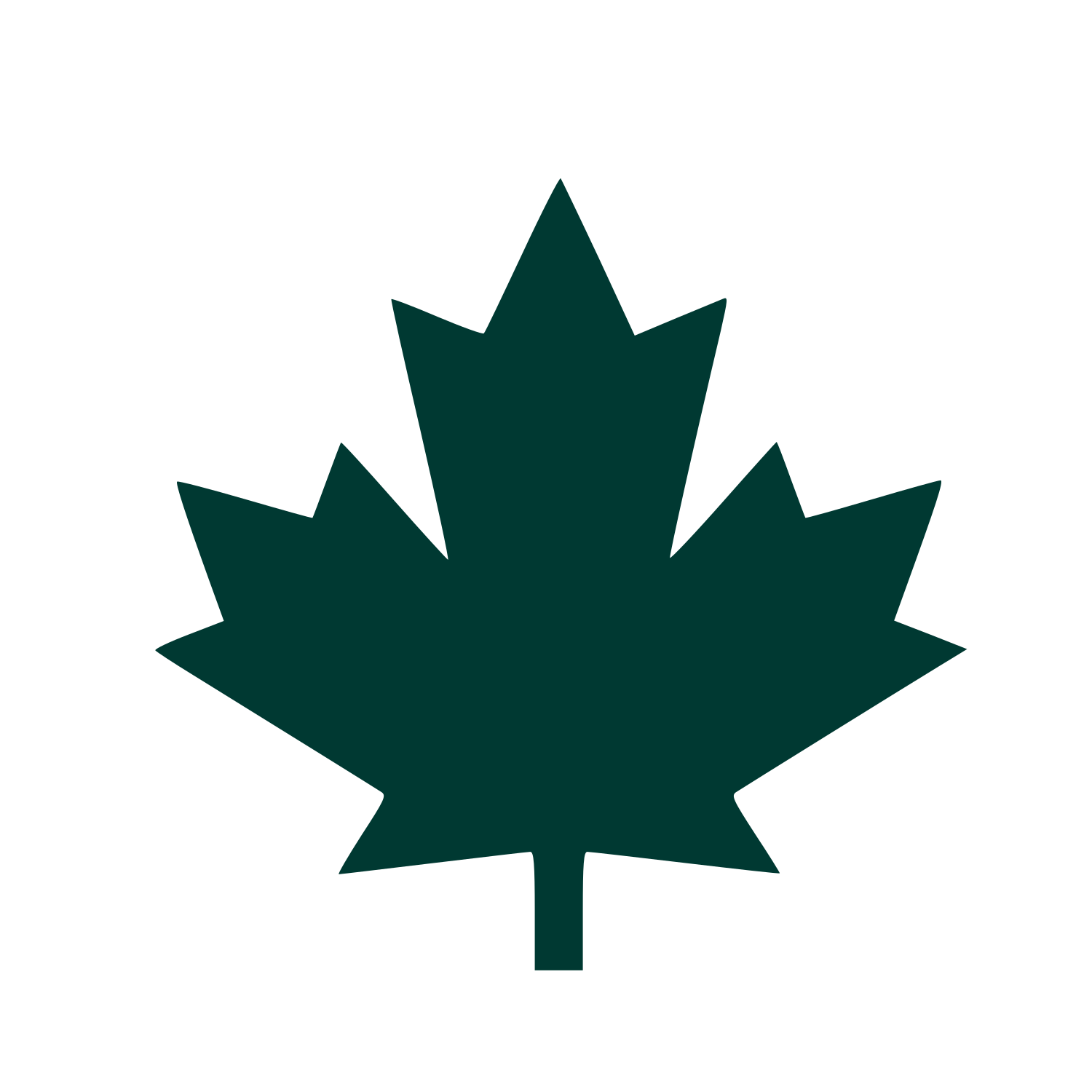 Maple Leaf Logo #003932