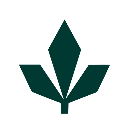 Geometric Maple Leaf Logo #003932