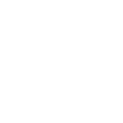 Maple Leaf Bold Logo #ffffff